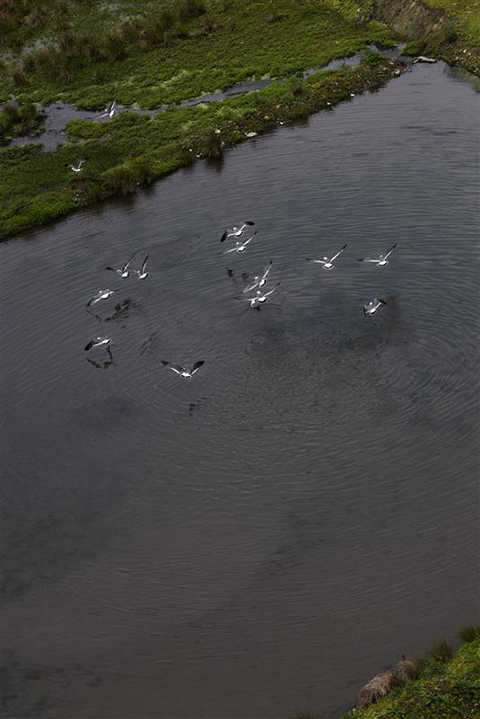 立木義浩写真展：禍福は糾える縄の如し - デジカメ Watch