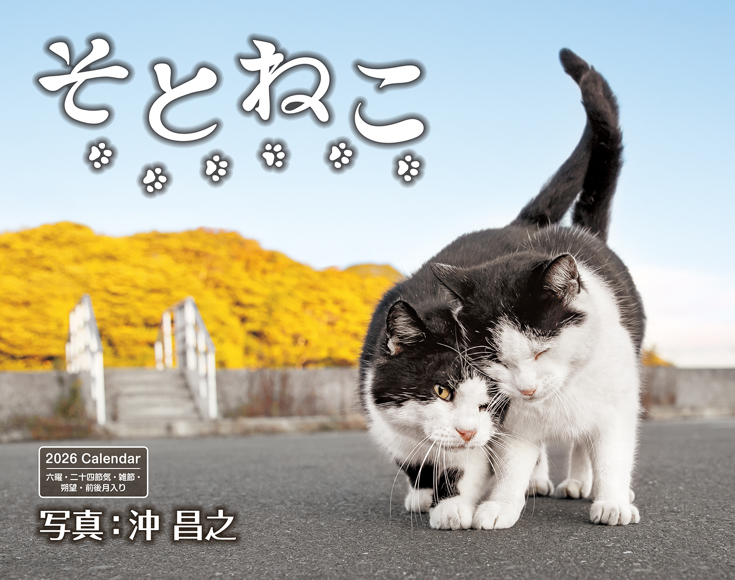 イベント告知】猫写真家・沖昌之氏に会えるサイン会&ガチャトーク