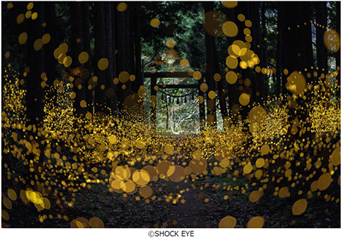 SHOCK EYE写真展：和景讃歌 - デジカメ Watch