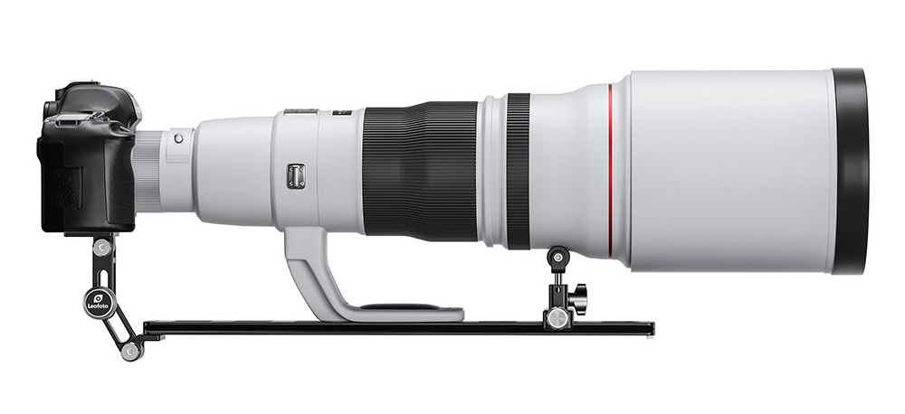 遠吠え()✩‧₊ 楽天ビック｜ペティオ｜Petio ながーいけりぐるみ 黄金のウツボ 通販