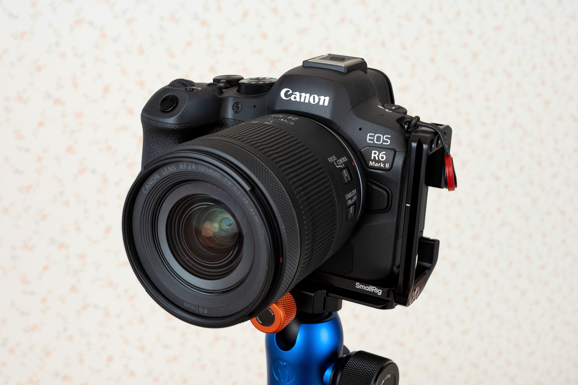 私はこれを買いました！：「III」ではなく「II」を買った理由　キヤノン EOS R6 Mark II（岡嶋和幸）