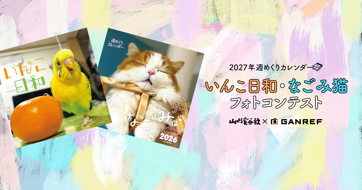 飼い主だからこそ撮れるインコ・猫のフォトコンテスト　入賞作品は2027年カレンダーに採用
