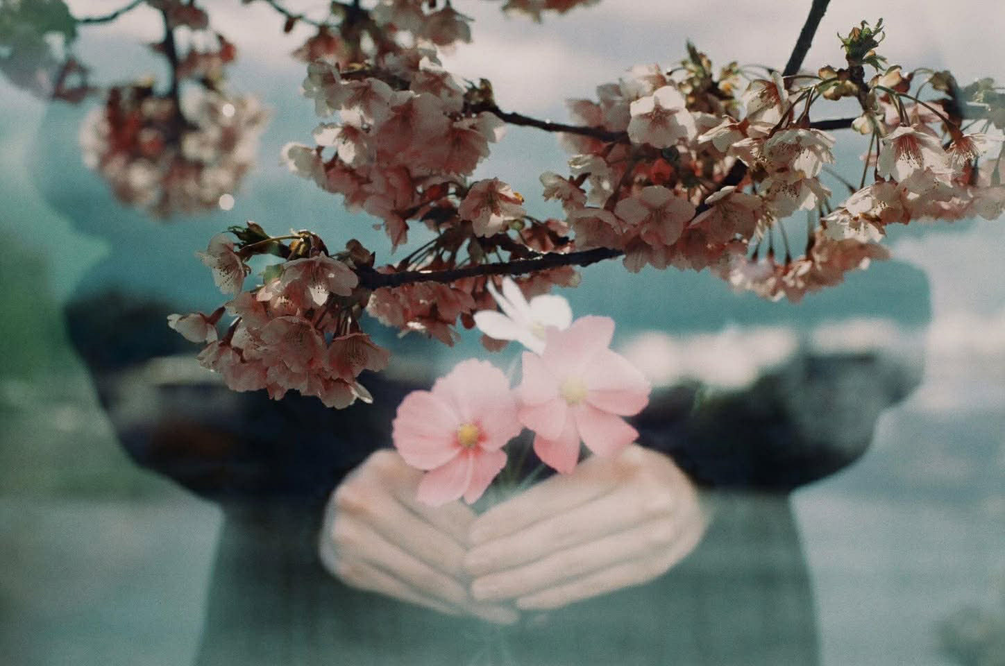 KANI「HT100IV」用の多重露光用アダプター　構図の約50%を遮光