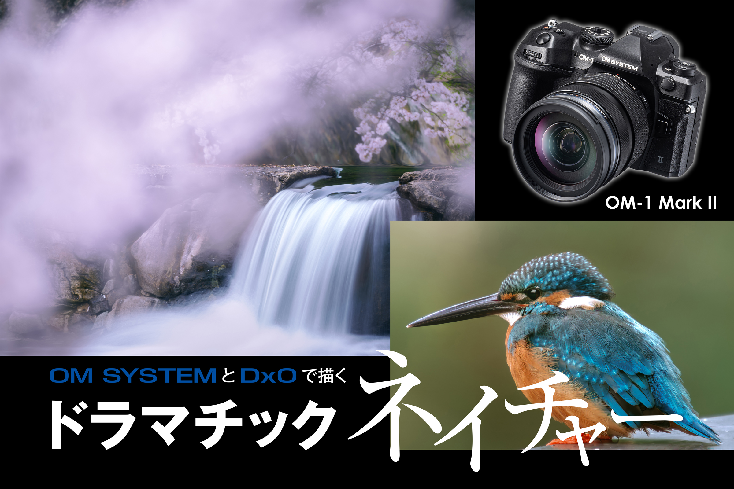 OM SYSTEMとDxOで描く風景と野鳥たちのドラマチックネイチャー[Sponsored]