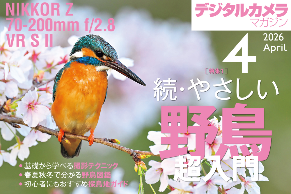 野鳥撮影の教科書——撮影テクニック・野鳥図鑑・探鳥地ガイドを1冊に凝縮　