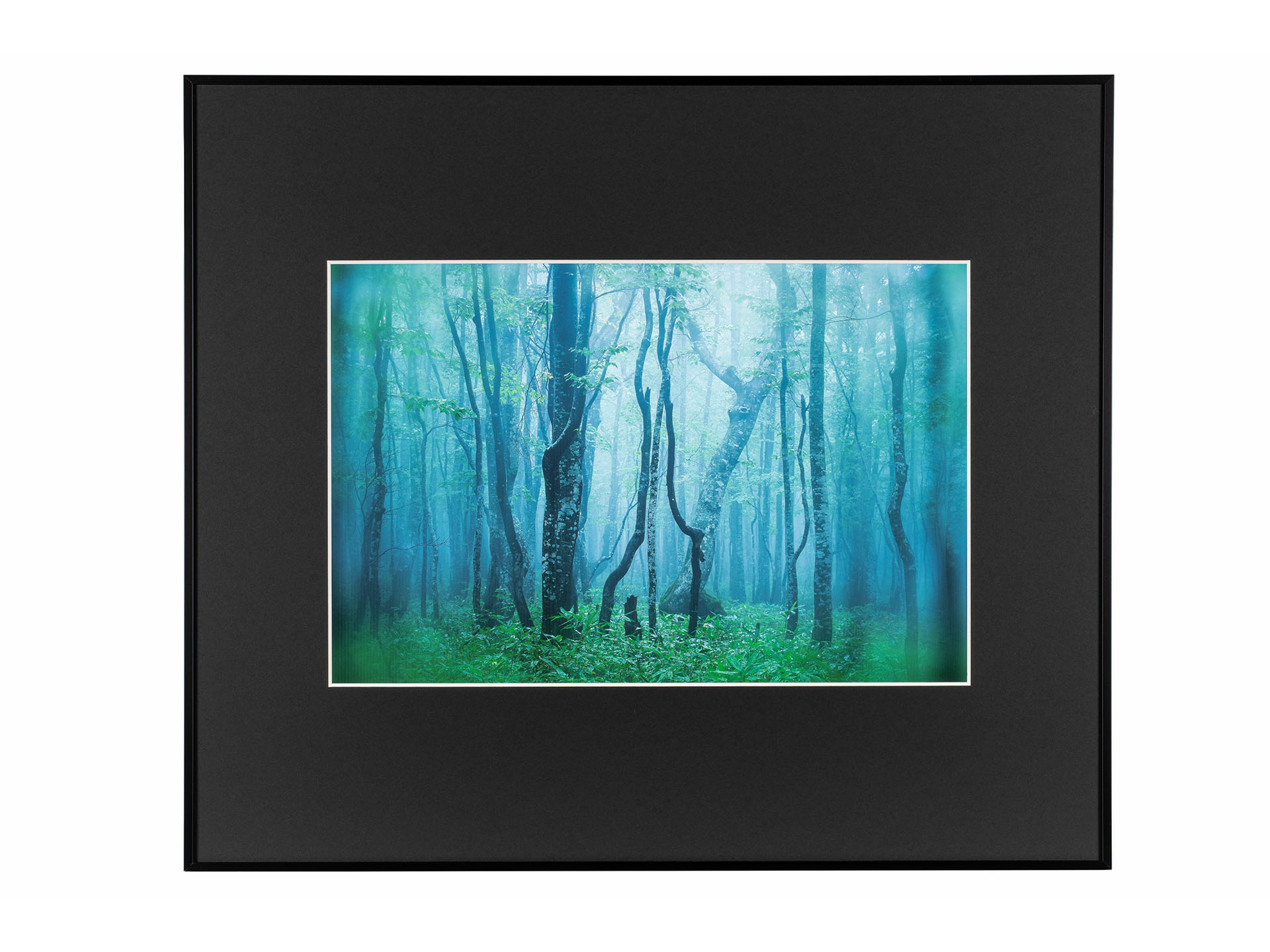 ケンコーのアルミ額縁に「A3ノートリミングサイズ」が追加　構図をそのまま額装に