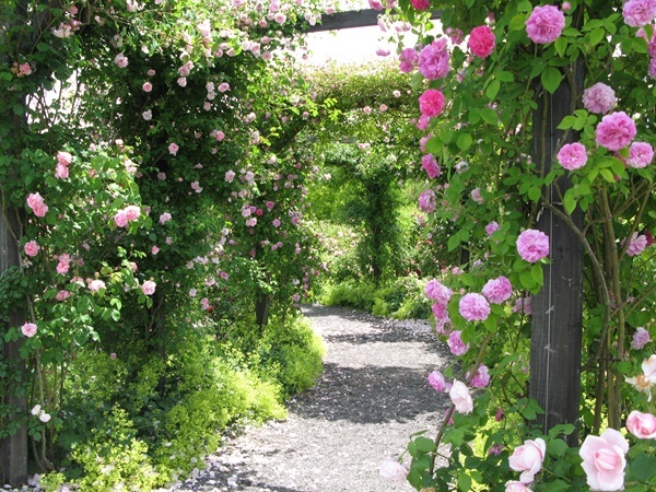 春のハーブを楽しむ、軽井沢レイクガーデンの魅力