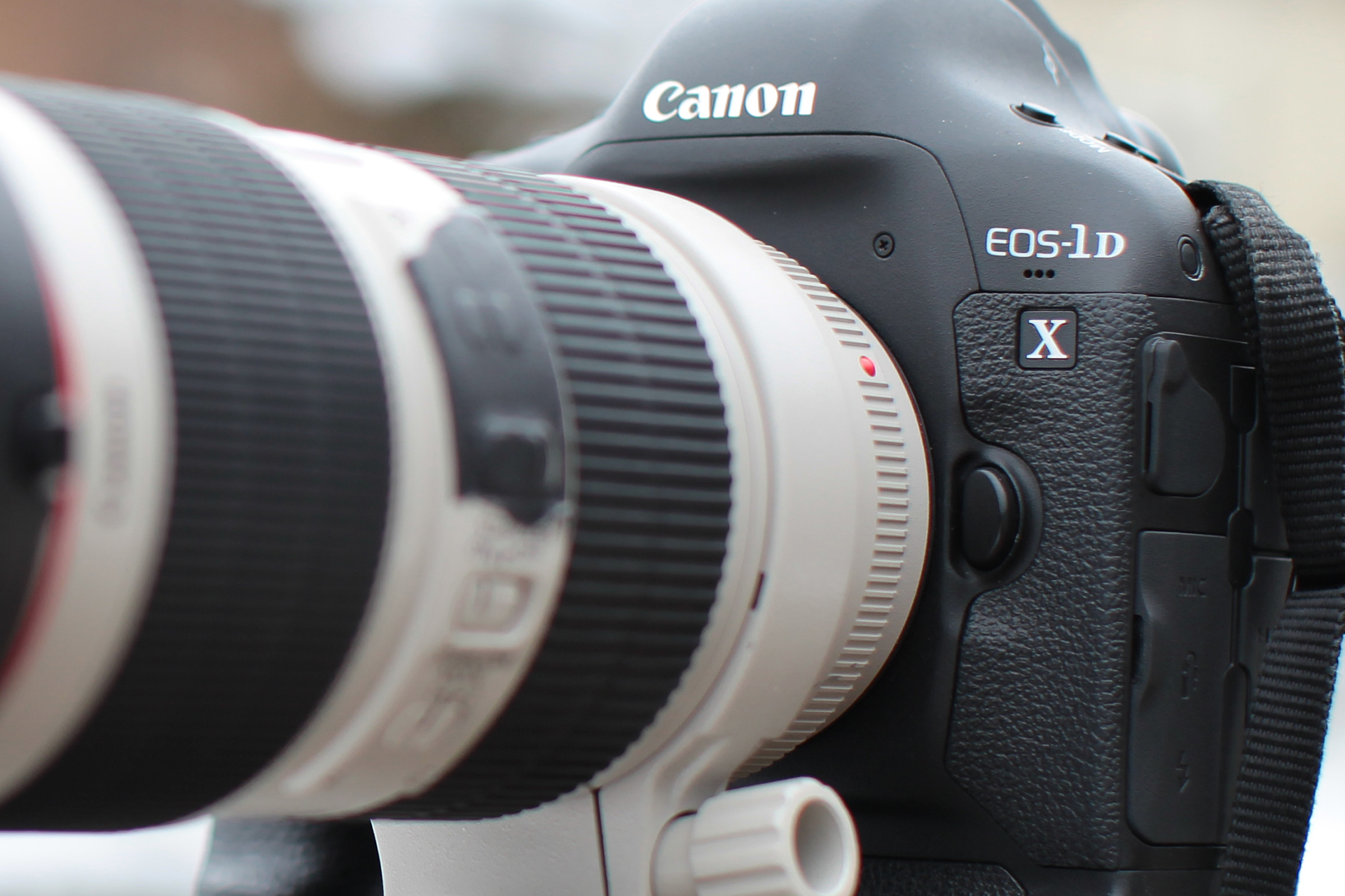 忘れられない1台～私の愛したデジタルカメラ～キヤノン EOS-1D X - デジカメ Watch