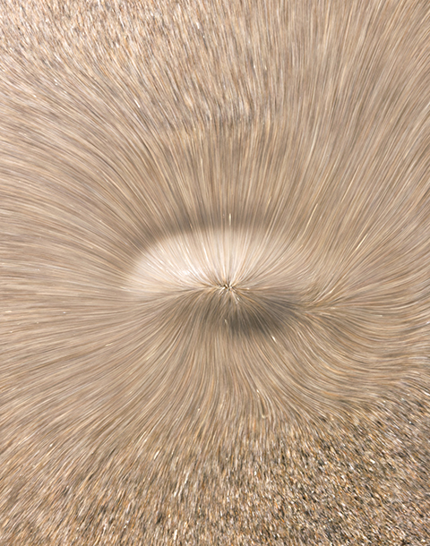 GOTO AKI写真集出版記念展：terra｜Landscape Topologies（風景の