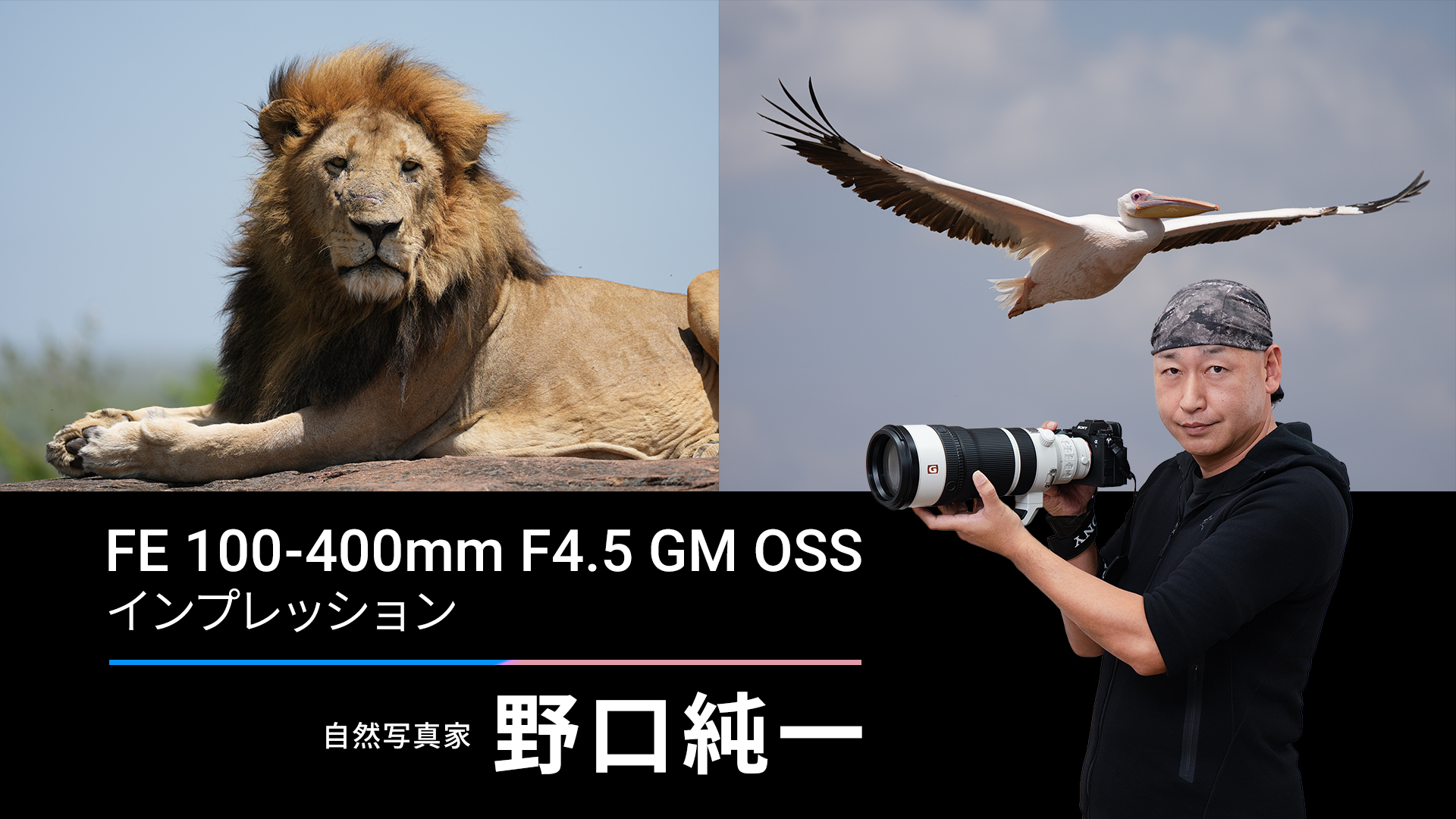 ソニー「FE 100-400mm F4.5 GM OSS」インプレッション[Sponsored]