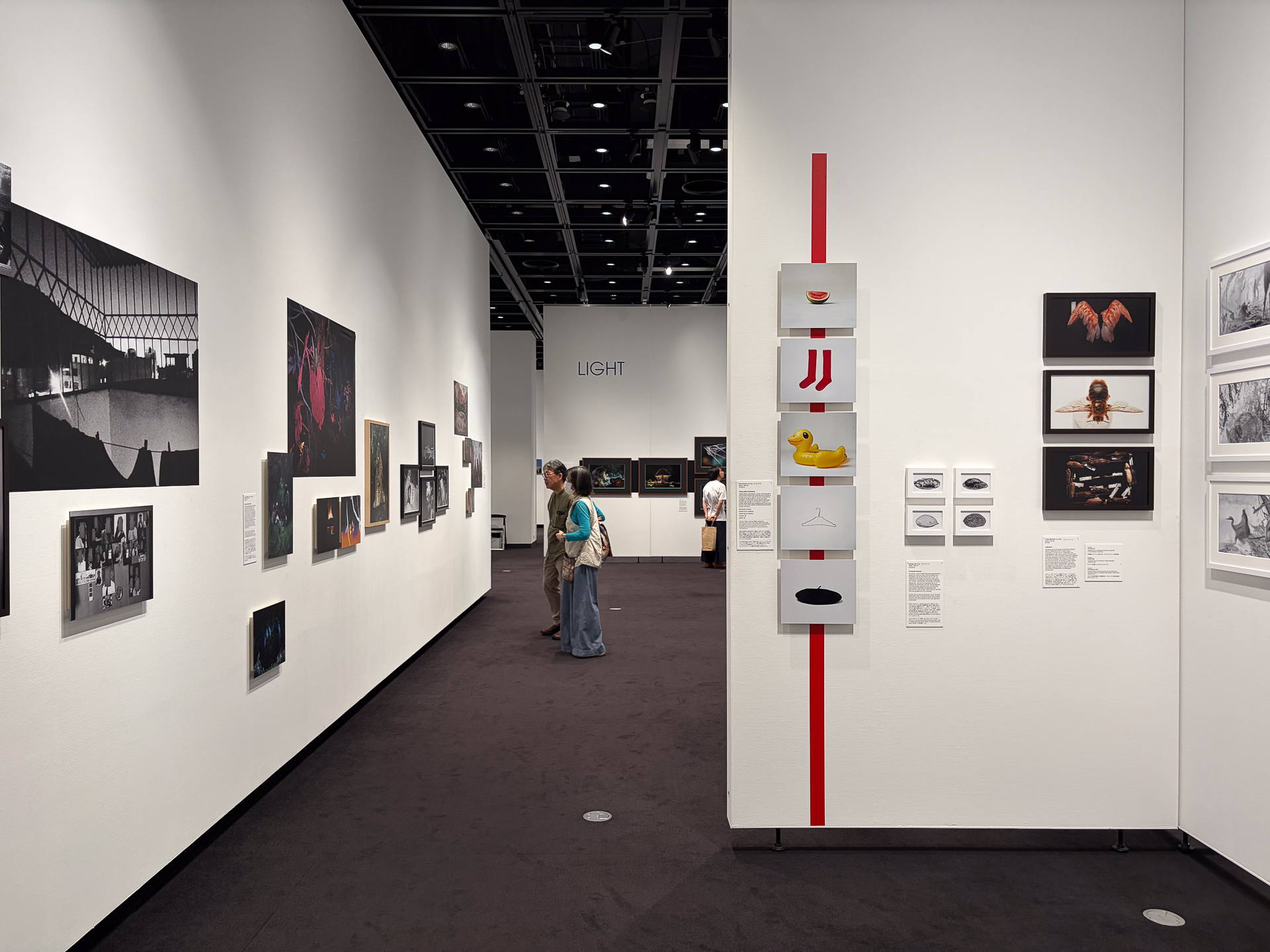 入場無料で世界レベルの受賞作品に触れる 東京都写真美術館「ソニーワールドフォトグラフィーアワード2026」