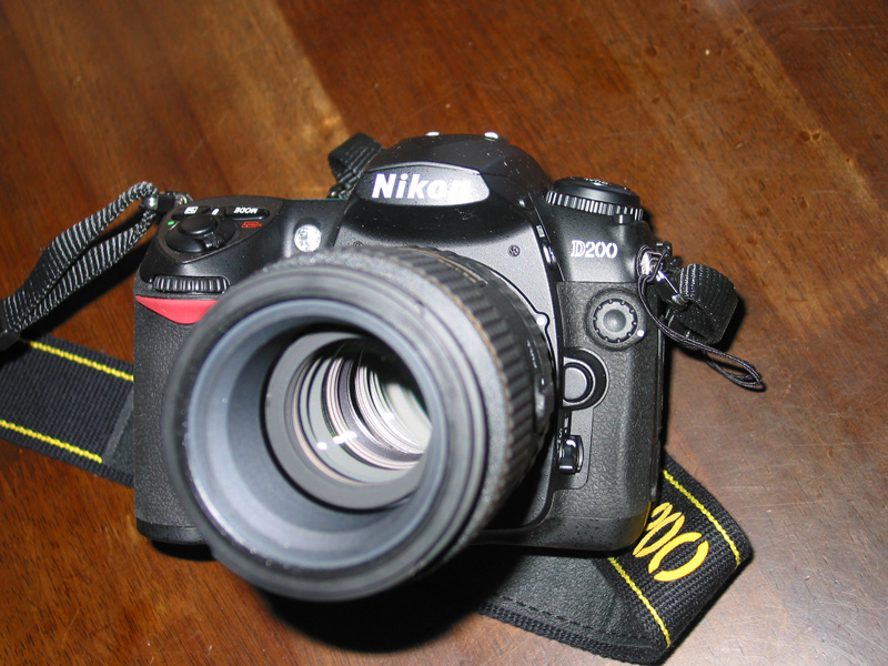 Nikon D200 デジタル一眼レフカメラ 本体 忘れられない1台～私の愛したデジタルカメラ～】ニコンD200 - デジカメ