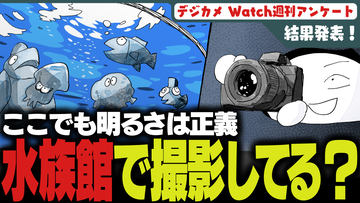 週刊アンケート 2026年 記事一覧 - デジカメ Watch