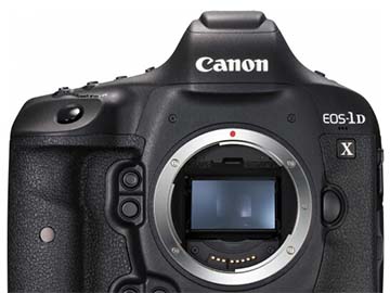 EOS-1D X レリーズ177,000以下 おまけ付き-